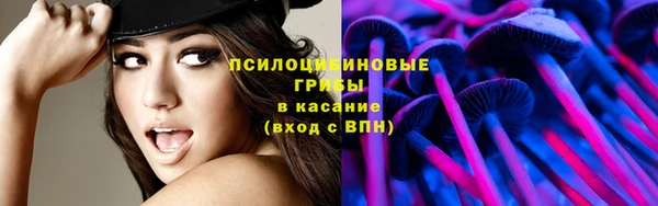СК Абаза