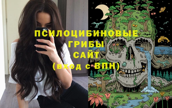 таблы Переславль-Залесский