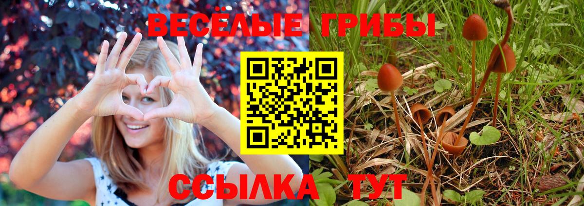 Псилоцибиновые грибы Psilocybe  Вход с VPN  Псилоцибиновые грибы Magic Shrooms  Алапаевск 